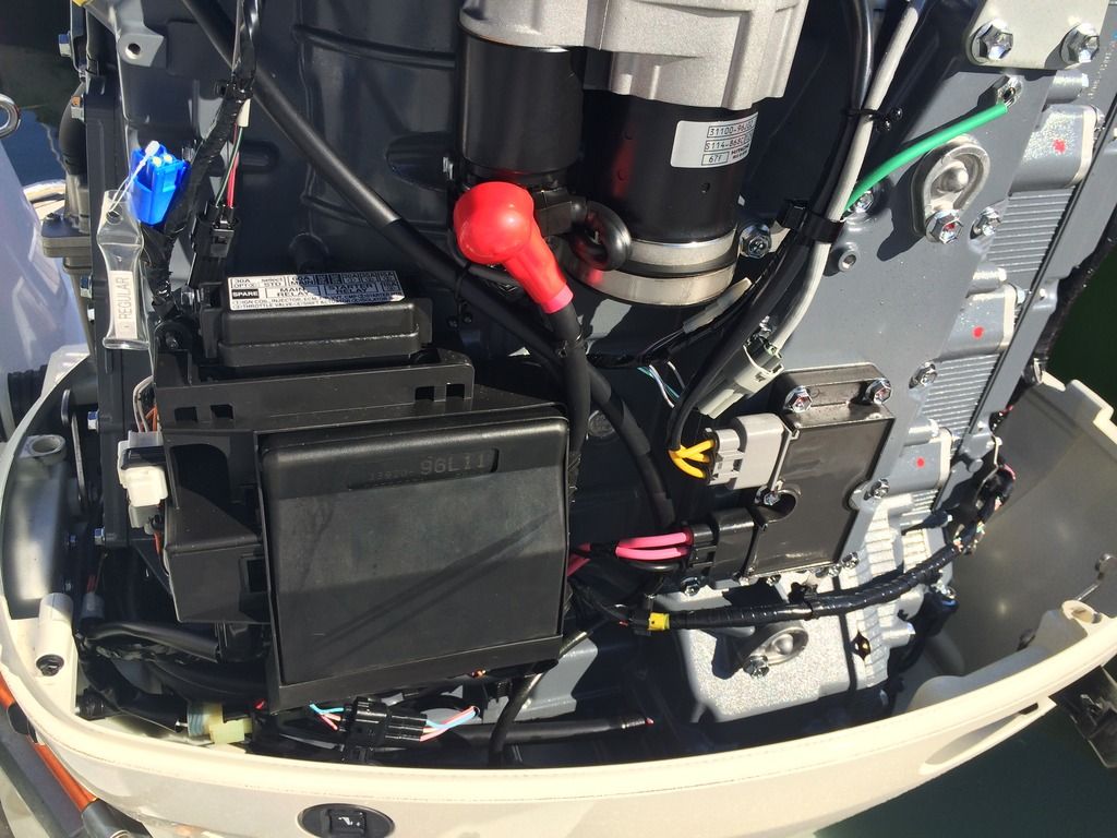 Diagnostic plug. Suzuki Outboard Forum